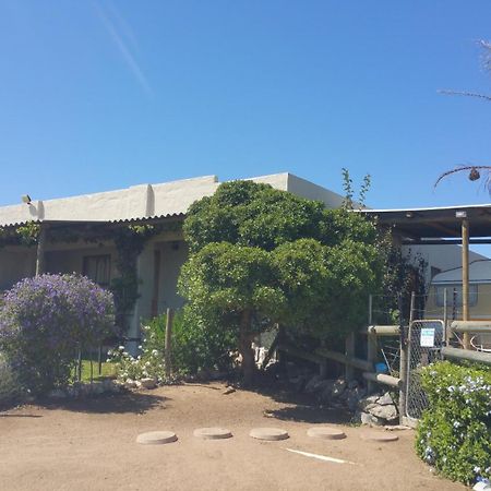 The Stables Accommodation Langebaan Eksteriør billede
